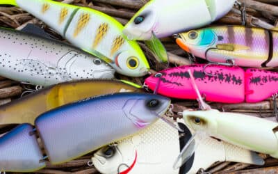 Swimbait und Glidebait Guide