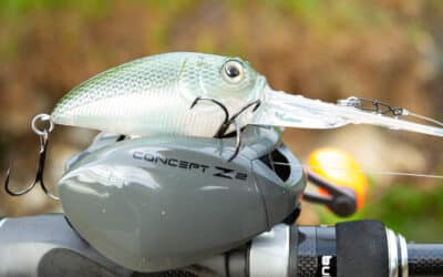 Molix Sculpo Crankbait Serie